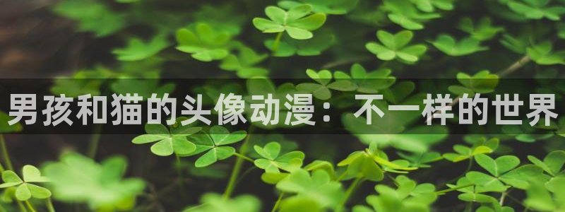 age动漫正版网：男孩和猫的头像动漫：不一样的世界