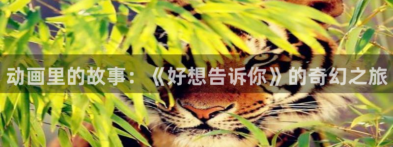 age动漫网官网入口：动画里的故事：《好想告诉你》的奇幻之旅