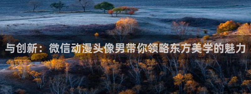 stagenehind韩漫免费观看：与创新：微信动漫头像男带你领略东方美学的魅力