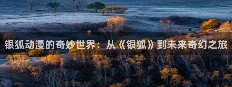 age动漫omofun：银狐动漫的奇妙世界：从《银狐》到未来奇幻之旅
