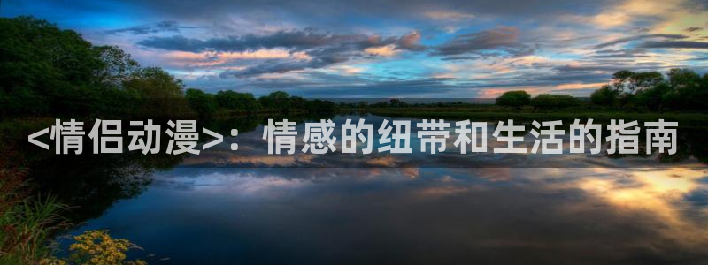 age动漫下载网：<情侣动漫>：情感的纽带和生活的指南