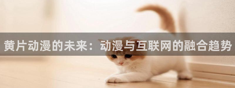 age动漫网：黄片动漫的未来：动漫与互联网的融合趋势