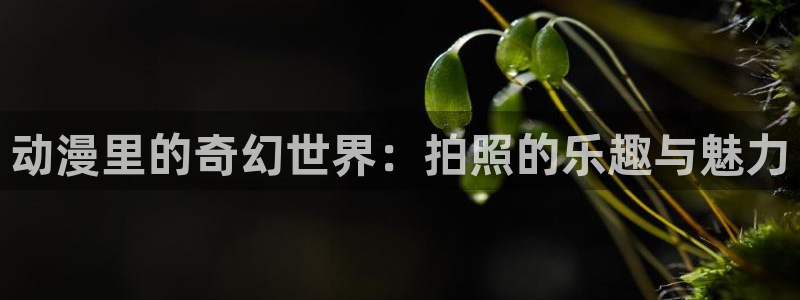 age动漫：动漫里的奇幻世界：拍照的乐趣与魅力