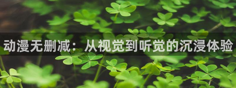 age樱花动漫：动漫无删减：从视觉到听觉的沉浸体验