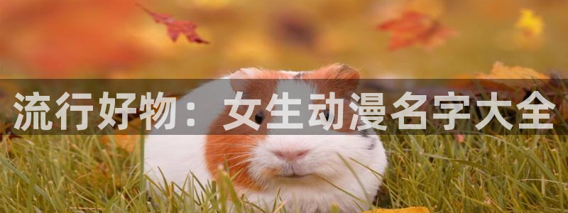 colamanage漫画官网：流行好物：女生动漫名字大全