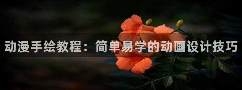 age动漫网官网入口：动漫手绘教程：简单易学的动画设计技巧